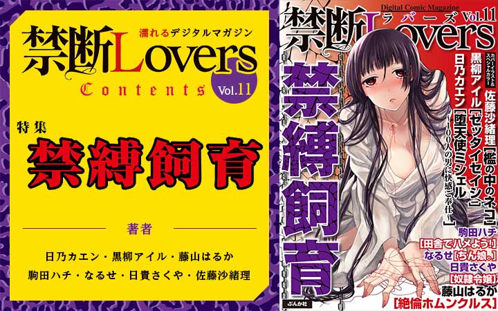 禁断Lovers Vol.11