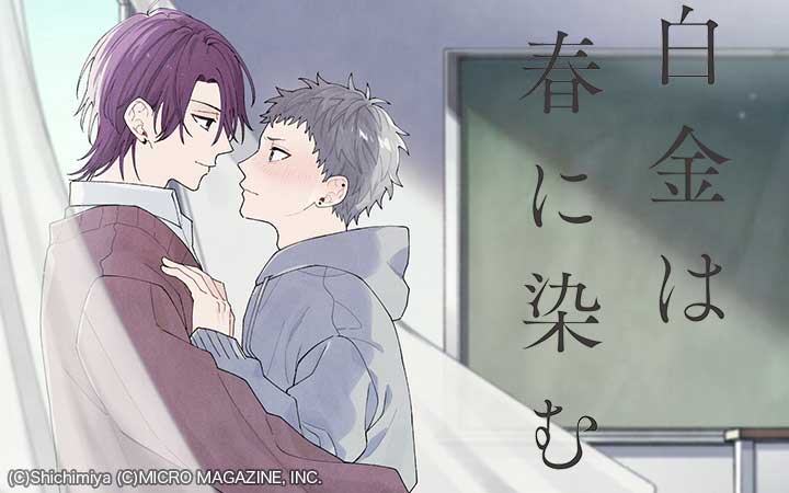 白金は春に染む