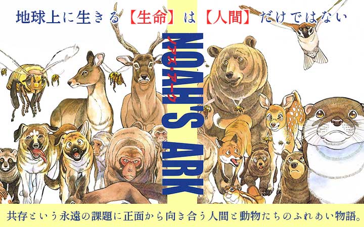 Noah’s Ark
