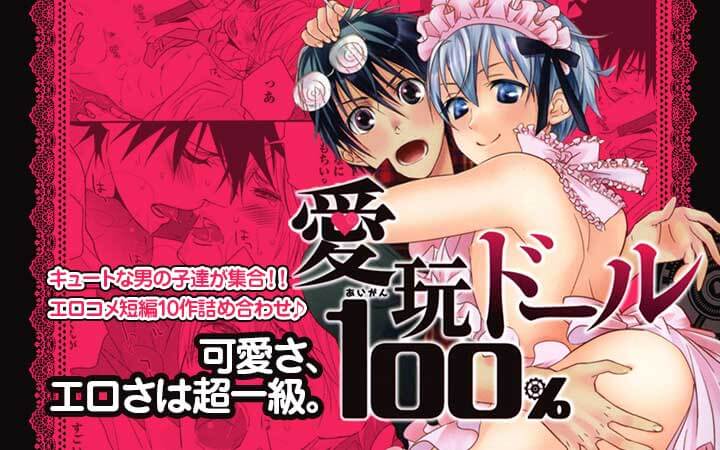 愛玩ドール１００％