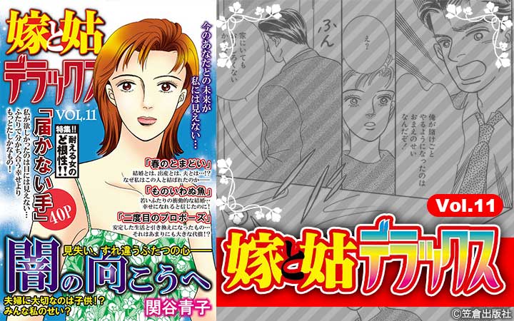嫁と姑デラックス【アンソロジー版】vol.11 闇の向こうへ