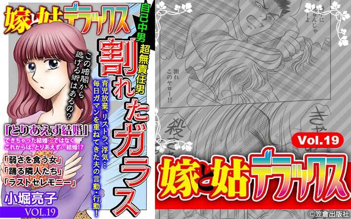 嫁と姑デラックス【アンソロジー版】vol.19 割れたガラス