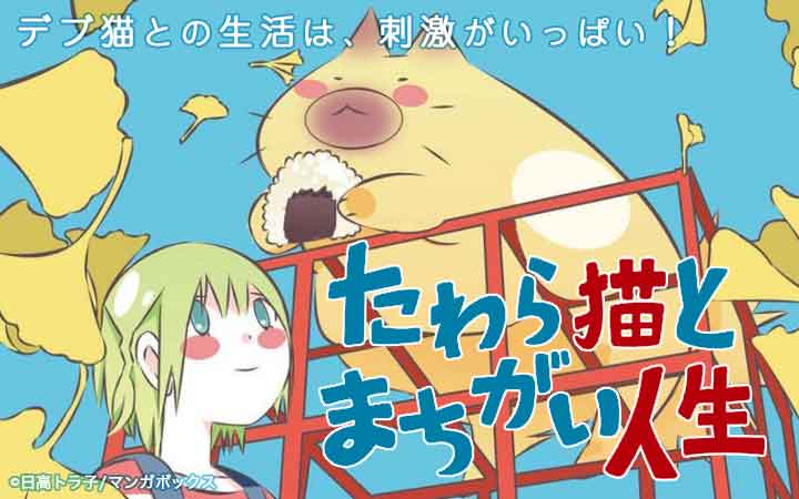 たわら猫とまちがい人生