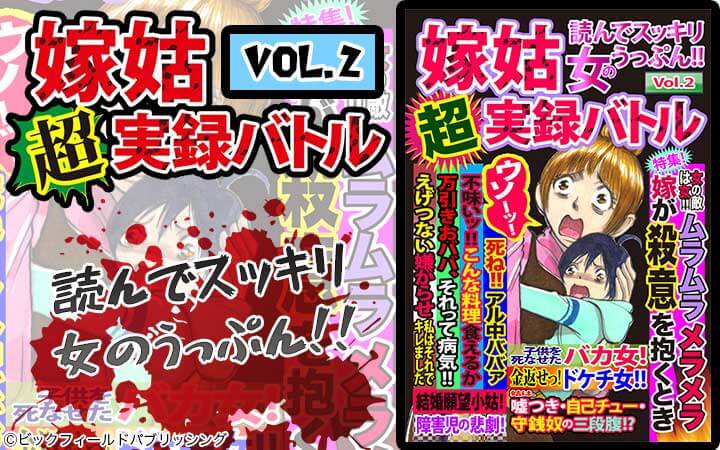 嫁姑超実録バトルVol.2 読んでスッキリ女のうっぷん!!