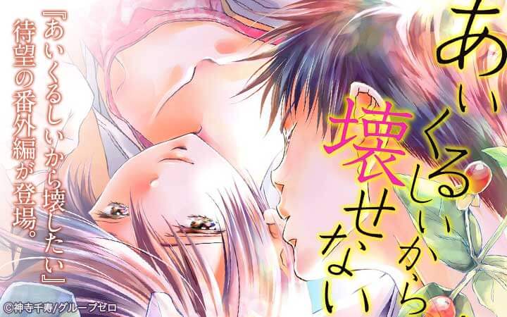 あいくるしいから壊せない