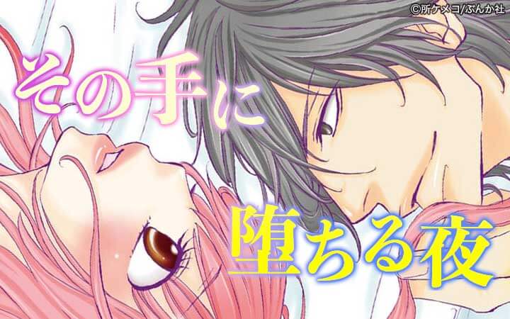 その手に堕ちる夜