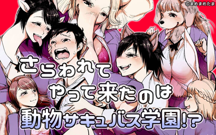 さらわれてやって来たのは動物サキュバス学園！？