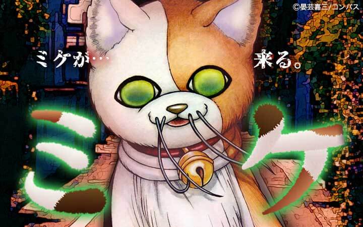 ミケ