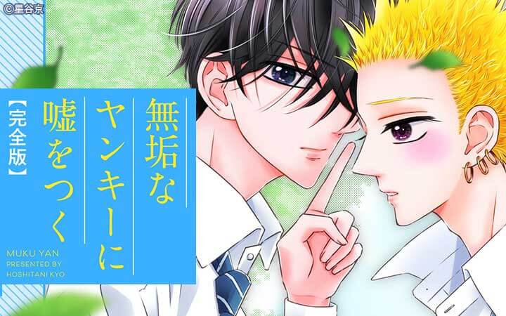 無垢なヤンキーに嘘をつく 完全版