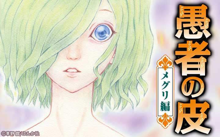 愚者の皮－メグリ編－（分冊版）