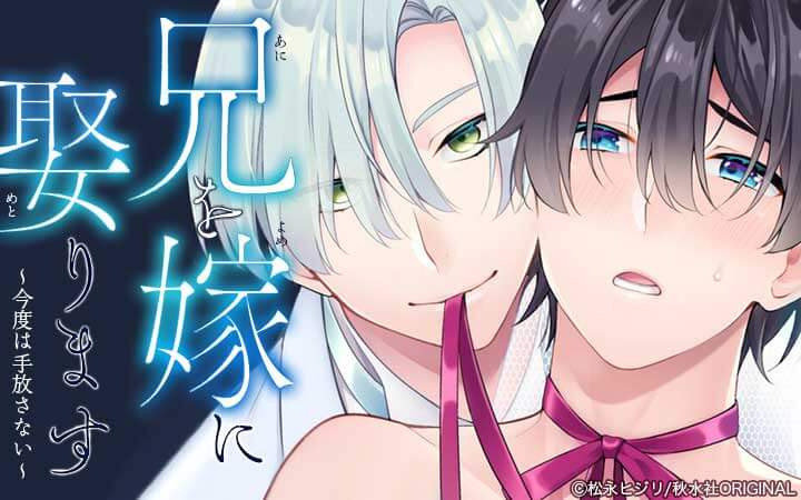 兄を嫁に娶ります～今度は手放さない～合冊版