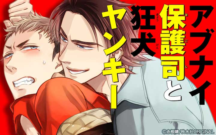 アブナイ保護司と狂犬ヤンキー 合冊版