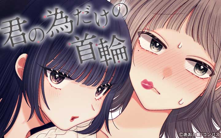 君の為だけの首輪